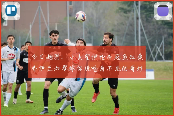 今日趣图：小麦霍伊伦夺冠鱼缸桑乔伊兰加零球你说啥看不见的奇妙瞬间
