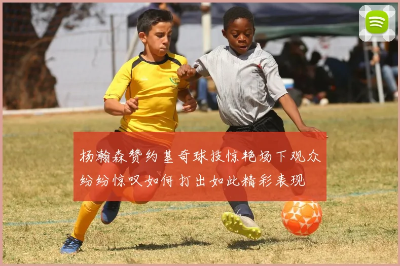 杨瀚森赞约基奇球技惊艳场下观众纷纷惊叹如何打出如此精彩表现