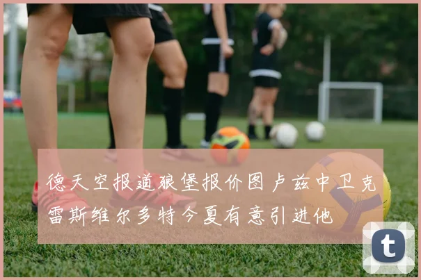 德天空报道狼堡报价图卢兹中卫克雷斯维尔多特今夏有意引进他