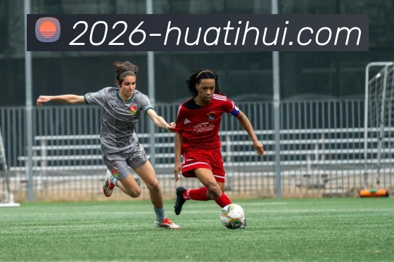 华体会体育APP 封面图